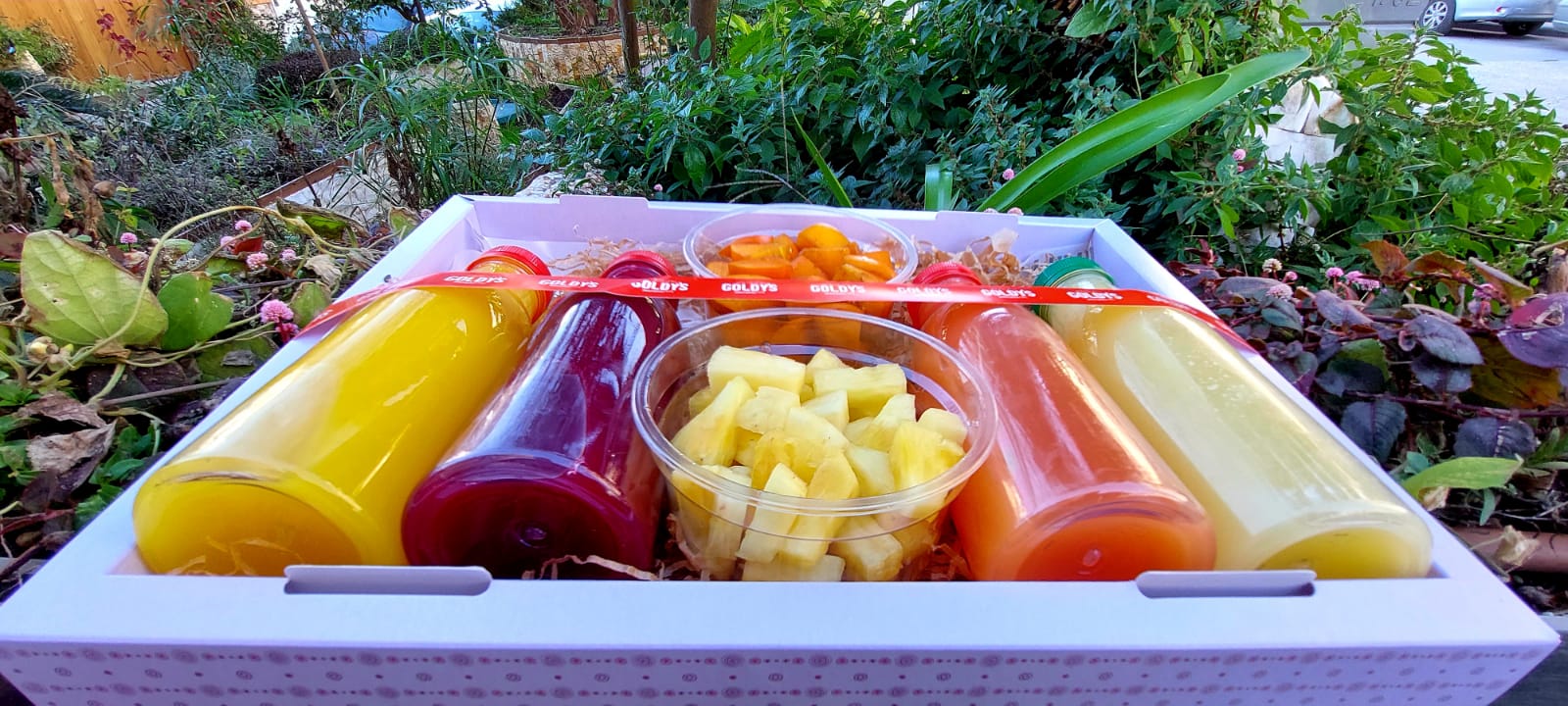 Juices & Fruits Purim Basket 